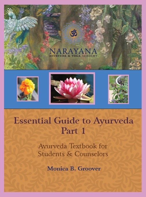 Essential Guide to Ayurveda